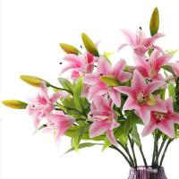 uploads/erp/collection/images/Home Garden/CongDing/XU0612295/img_b/XU0612295_img_b_5